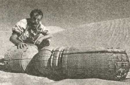 Иллюстрация к книге — Следы в пустыне [i_010.jpg]