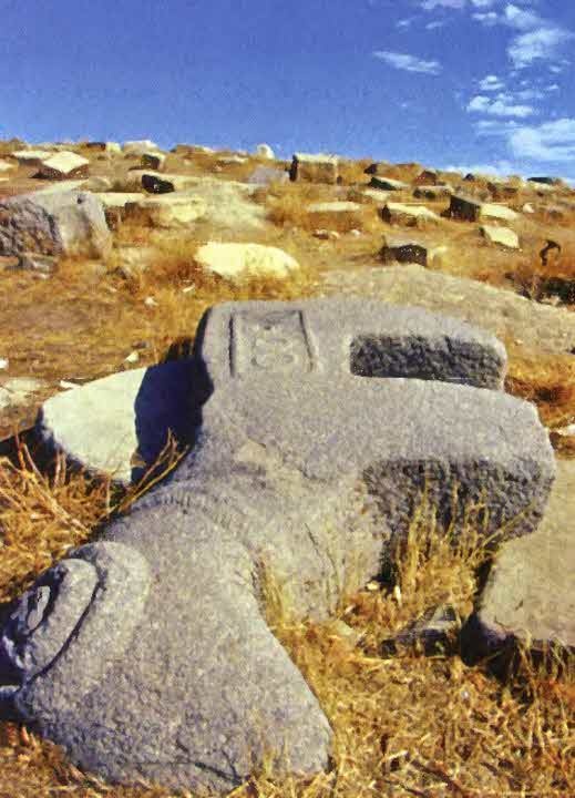 Иллюстрация к книге — Следы в пустыне [i_017.jpg]