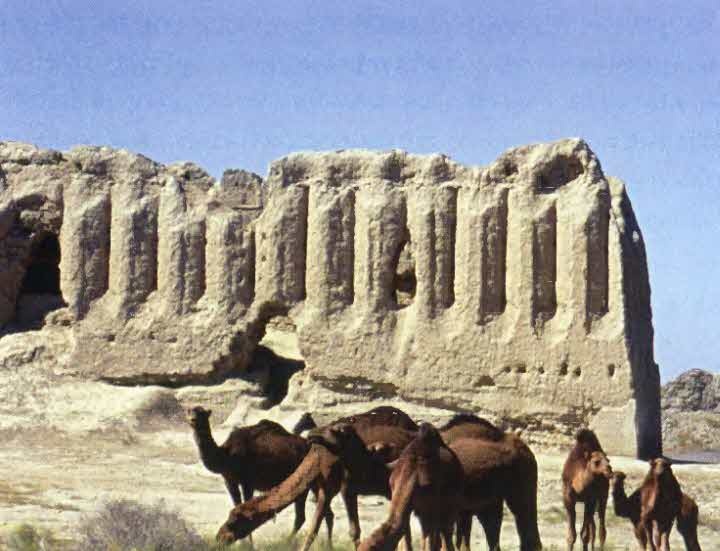 Иллюстрация к книге — Следы в пустыне [i_019.jpg]