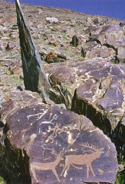 Иллюстрация к книге — Следы в пустыне [i_029.jpg]