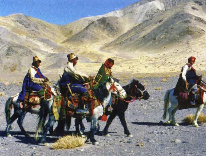 Иллюстрация к книге — Следы в пустыне [i_036.jpg]