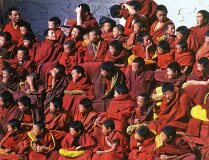 Иллюстрация к книге — Следы в пустыне [i_042.jpg]