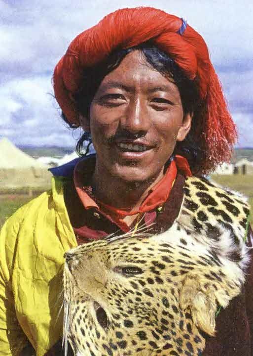 Иллюстрация к книге — Следы в пустыне [i_049.jpg]