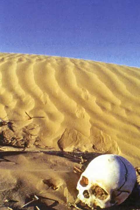 Иллюстрация к книге — Следы в пустыне [i_055.jpg]