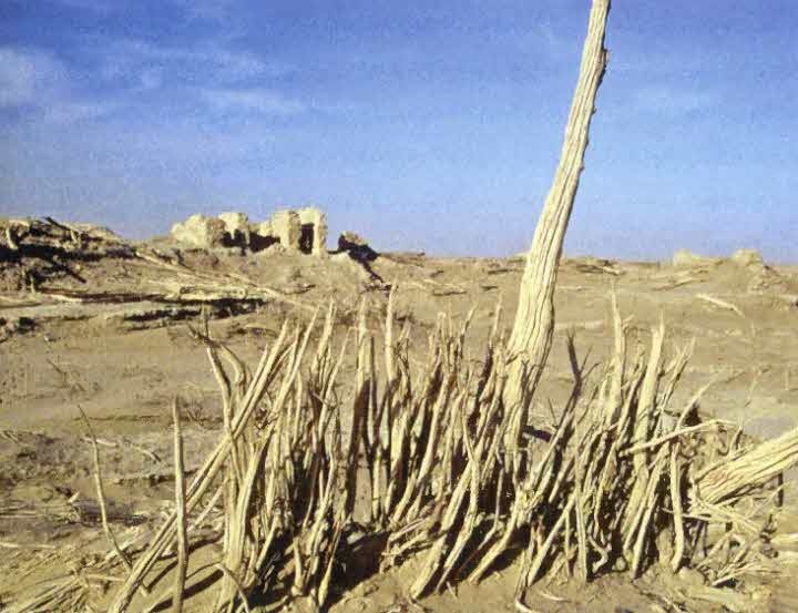 Иллюстрация к книге — Следы в пустыне [i_060.jpg]