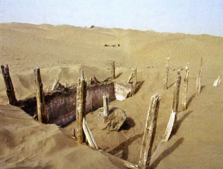 Иллюстрация к книге — Следы в пустыне [i_063.jpg]