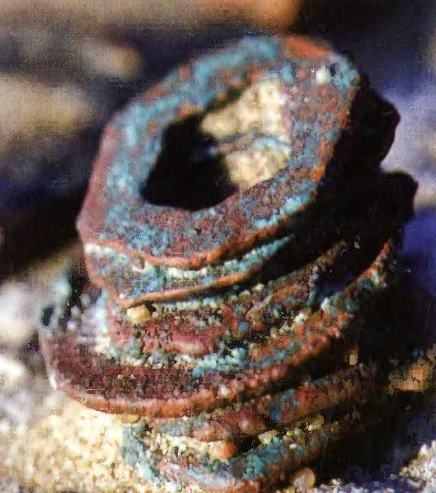 Иллюстрация к книге — Следы в пустыне [i_071.jpg]