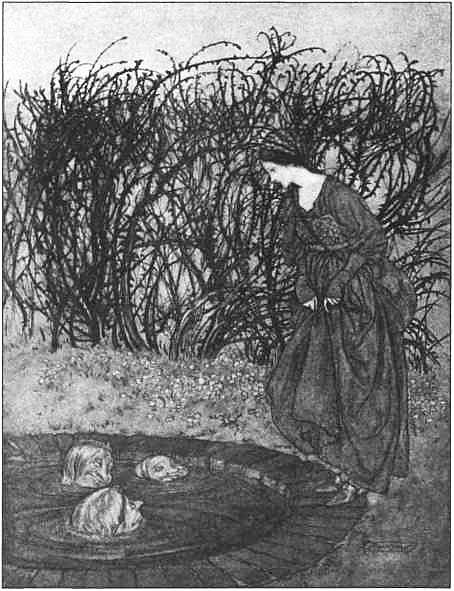 Иллюстрация к книге — Страшные немецкие сказки [i_024.jpg]