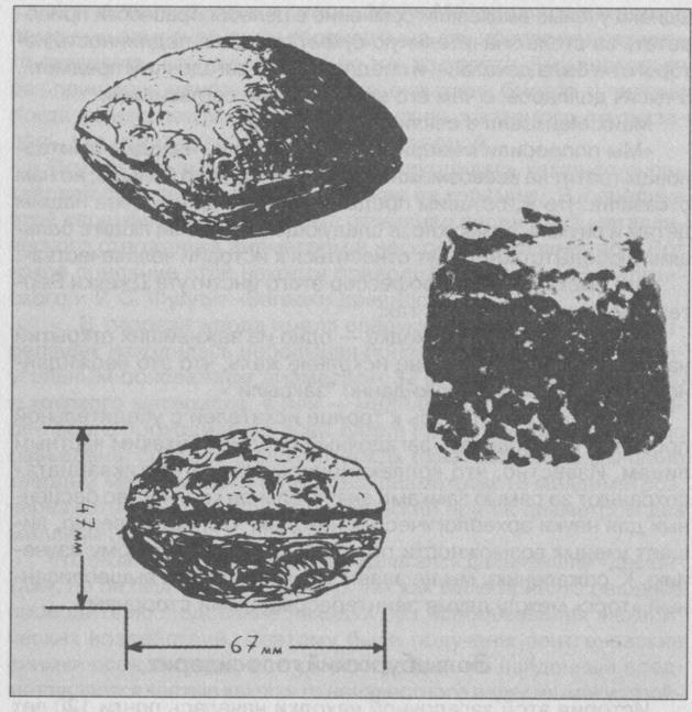 Иллюстрация к книге — Тайны подземного мира [i_025.jpg]
