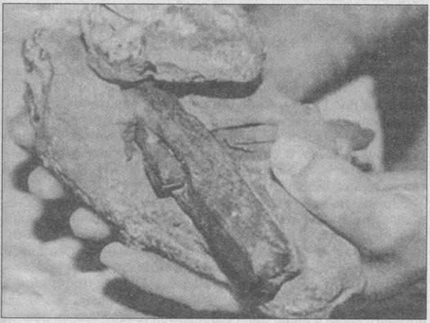 Иллюстрация к книге — Тайны подземного мира [i_028.jpg]