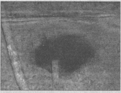 Иллюстрация к книге — Тайны подземного мира [i_029.jpg]