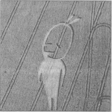 Иллюстрация к книге — Тайны подземного мира [i_042.jpg]