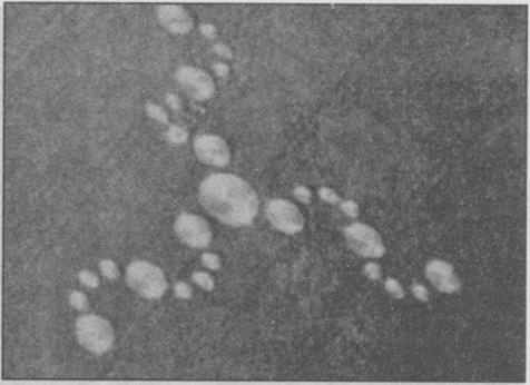Иллюстрация к книге — Тайны подземного мира [i_046.jpg]