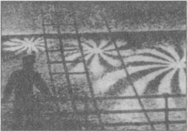 Иллюстрация к книге — Тайны подземного мира [i_057.jpg]