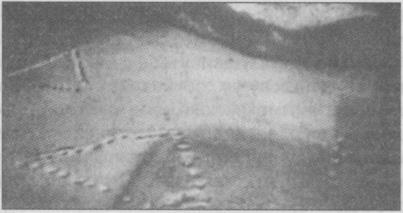 Иллюстрация к книге — Тайны подземного мира [i_061.jpg]