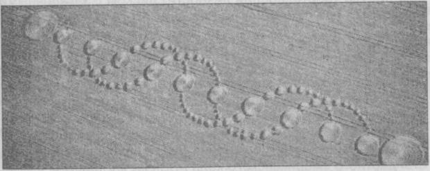 Иллюстрация к книге — Тайны подземного мира [i_091.jpg]