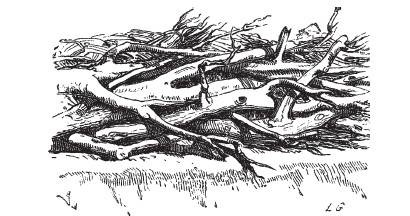 Иллюстрация к книге — Крепости и осадные орудия. Средства ведения войны в Средние века [i_114.jpg]