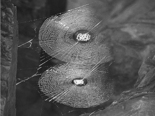 Иллюстрация к книге — Красота физики. Постигая устройство природы [i_023.jpg]