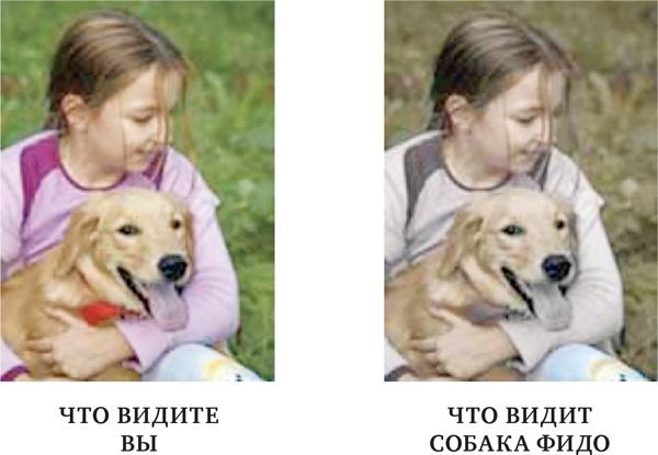 Иллюстрация к книге — Красота физики. Постигая устройство природы [i_079.jpg]