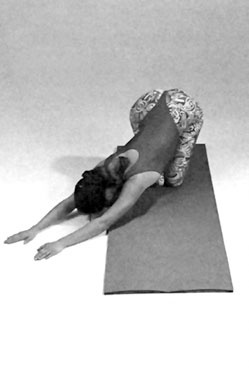 Иллюстрация к книге — Гимнастика для позвоночника [i_033.jpg]