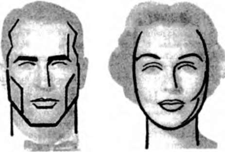 Иллюстрация к книге — Тайны пола. Мужчина и женщина в зеркале эволюции [i_039.jpg]