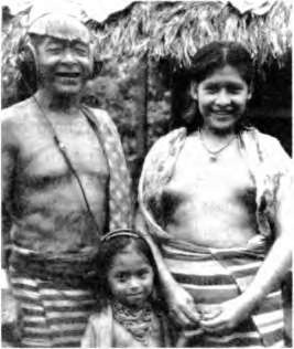 Иллюстрация к книге — Тайны пола. Мужчина и женщина в зеркале эволюции [i_053.jpg]