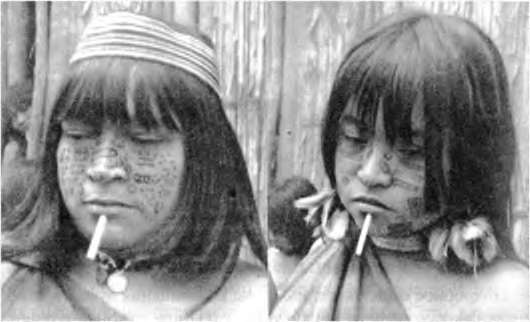 Иллюстрация к книге — Тайны пола. Мужчина и женщина в зеркале эволюции [i_067.jpg]