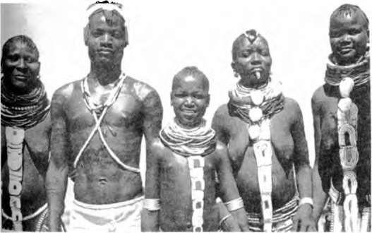 Иллюстрация к книге — Тайны пола. Мужчина и женщина в зеркале эволюции [i_068.jpg]