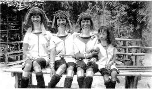 Иллюстрация к книге — Тайны пола. Мужчина и женщина в зеркале эволюции [i_070.jpg]