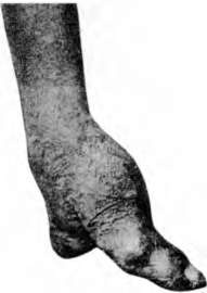 Иллюстрация к книге — Тайны пола. Мужчина и женщина в зеркале эволюции [i_071.jpg]