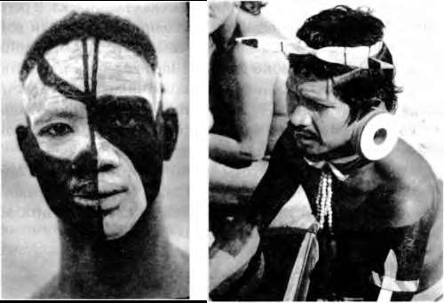 Иллюстрация к книге — Тайны пола. Мужчина и женщина в зеркале эволюции [i_072.jpg]