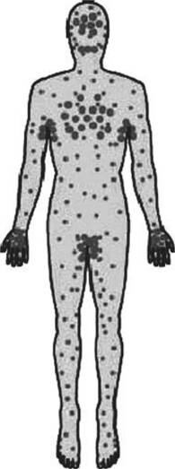 Иллюстрация к книге — Антропология пола [i_026.jpg]