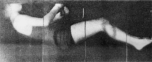 Иллюстрация к книге — Искусство лежать. Руководство по горизонтальному образу жизни [_34.jpg]