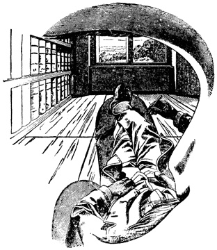 Иллюстрация к книге — Искусство лежать. Руководство по горизонтальному образу жизни [_38.jpg]