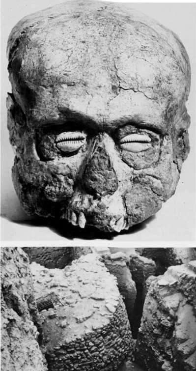 Иллюстрация к книге — Восхождение человечества [i_008.jpg]