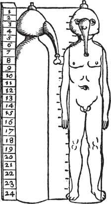 Иллюстрация к книге — Восхождение человечества [i_016.jpg]