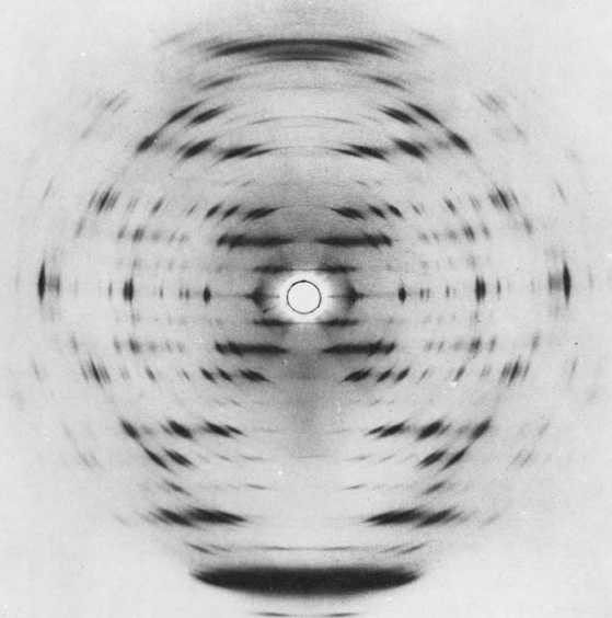 Иллюстрация к книге — Восхождение человечества [i_039.jpg]