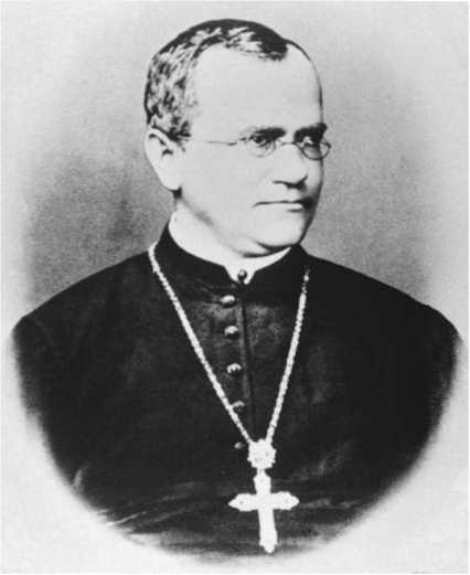 Иллюстрация к книге — Восхождение человечества [i_044.jpg]