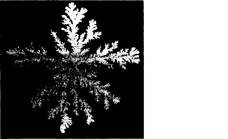 Иллюстрация к книге — Критическая масса. Как одни явления порождают другие [img_13.jpg]