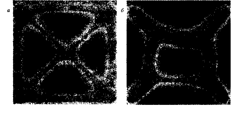 Иллюстрация к книге — Критическая масса. Как одни явления порождают другие [img_25.jpg]