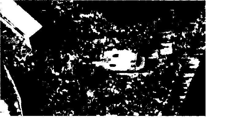 Иллюстрация к книге — Критическая масса. Как одни явления порождают другие [img_27.jpg]