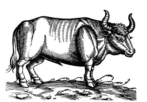 Иллюстрация к книге — Наука Ренессанса. Триумфальные открытия и достижения естествознания времен Парацельса и Галилея. 1450–1630 [i_008.jpg]