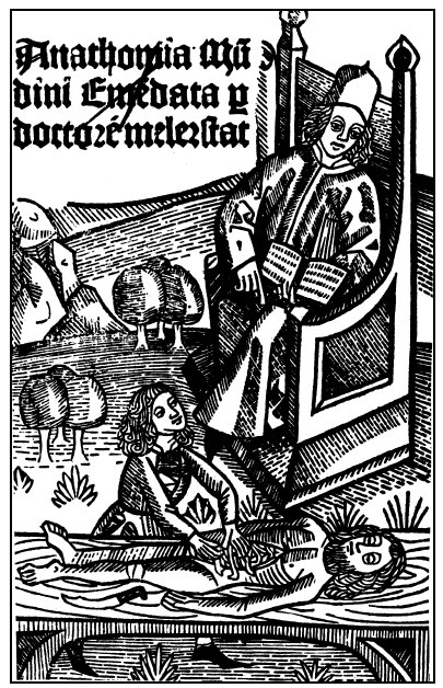 Иллюстрация к книге — Наука Ренессанса. Триумфальные открытия и достижения естествознания времен Парацельса и Галилея. 1450–1630 [i_010.jpg]