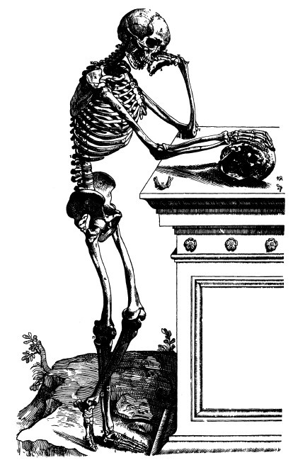 Иллюстрация к книге — Наука Ренессанса. Триумфальные открытия и достижения естествознания времен Парацельса и Галилея. 1450–1630 [i_012.jpg]