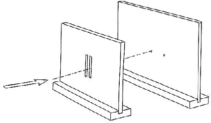 Иллюстрация к книге — Биоцентризм. Как жизнь создает Вселенную [_5.jpg]
