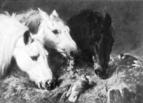 Иллюстрация к книге — Искусство видеть [i_162.jpg]