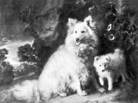 Иллюстрация к книге — Искусство видеть [i_164.jpg]