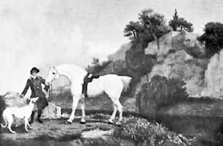 Иллюстрация к книге — Искусство видеть [i_169.jpg]