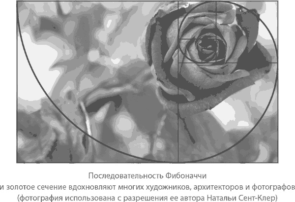 Иллюстрация к книге — Магия математики. Как найти x и зачем это нужно [i_236.jpg]