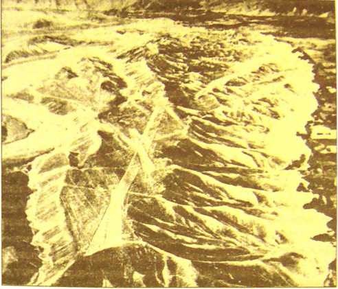 Иллюстрация к книге — Пустыня Наска. Следы иного разума [i_005.jpg]